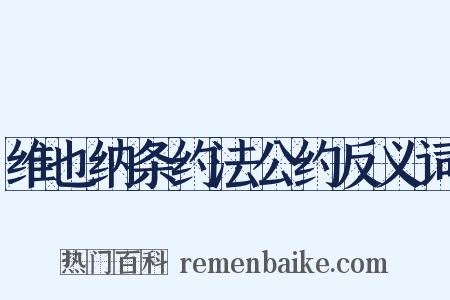 维也纳条约法公约反义词是什么意思的图片
